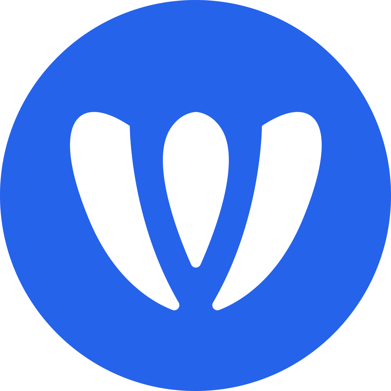 WebCatalog final verdict on workflow organization and integrations