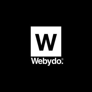 Webydo Review 2026