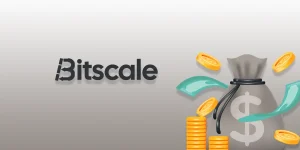Who Bitscale Is For: Credits, Not Seats